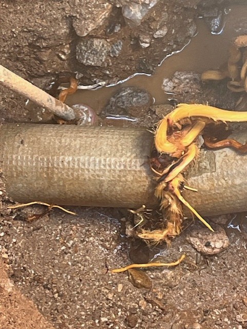 b034b41c-9eda-4541-aea8-1eb06397140d